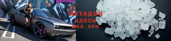 индика Арсеньев