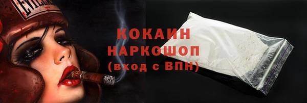 индика Арсеньев