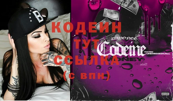 индика Арсеньев