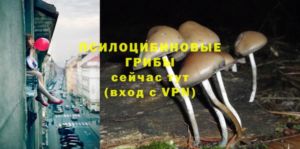 индика Арсеньев