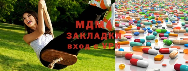 индика Арсеньев