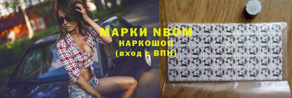 индика Арсеньев