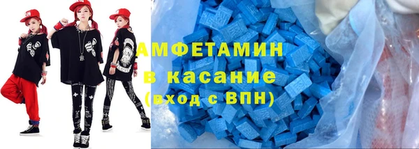 индика Арсеньев