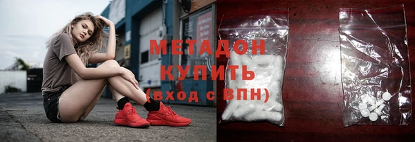 индика Арсеньев