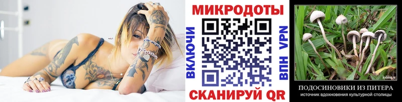 цены   Талица  Псилоцибиновые грибы Magic Shrooms 